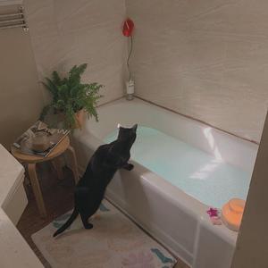 91色在色在线播放
